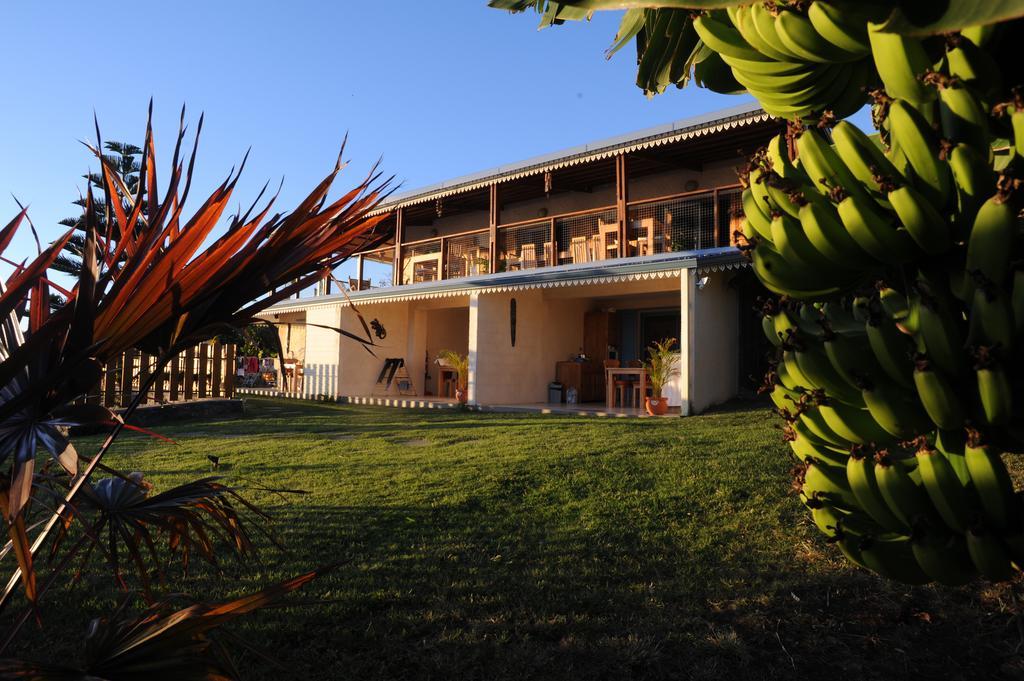 Leu Bleu Austral Hotel Saint-Leu Bagian luar foto